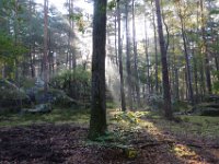 2016-10-09 Les gorges d Apremont 0010